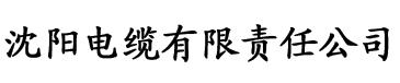 大香蕉在线a视频电缆厂logo